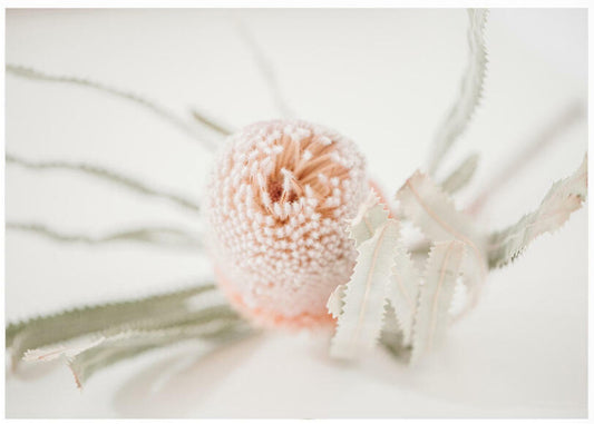 Start your own art collection