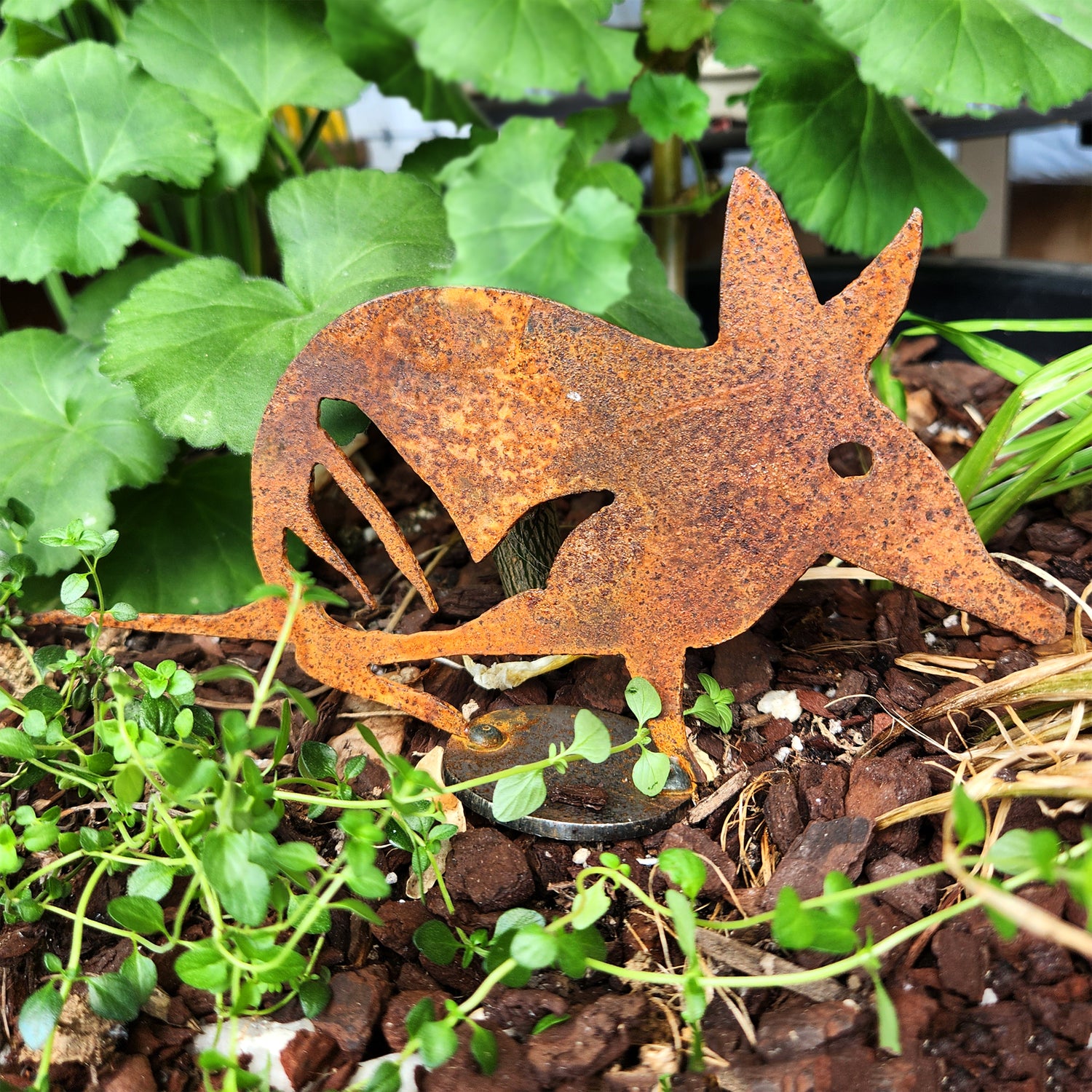 Colour: Green and Brown