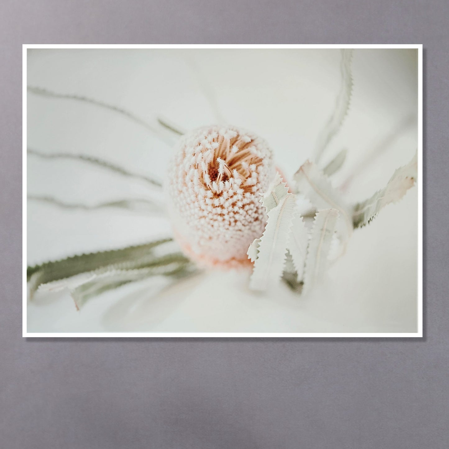 Photograph of Banksi on a grey wall