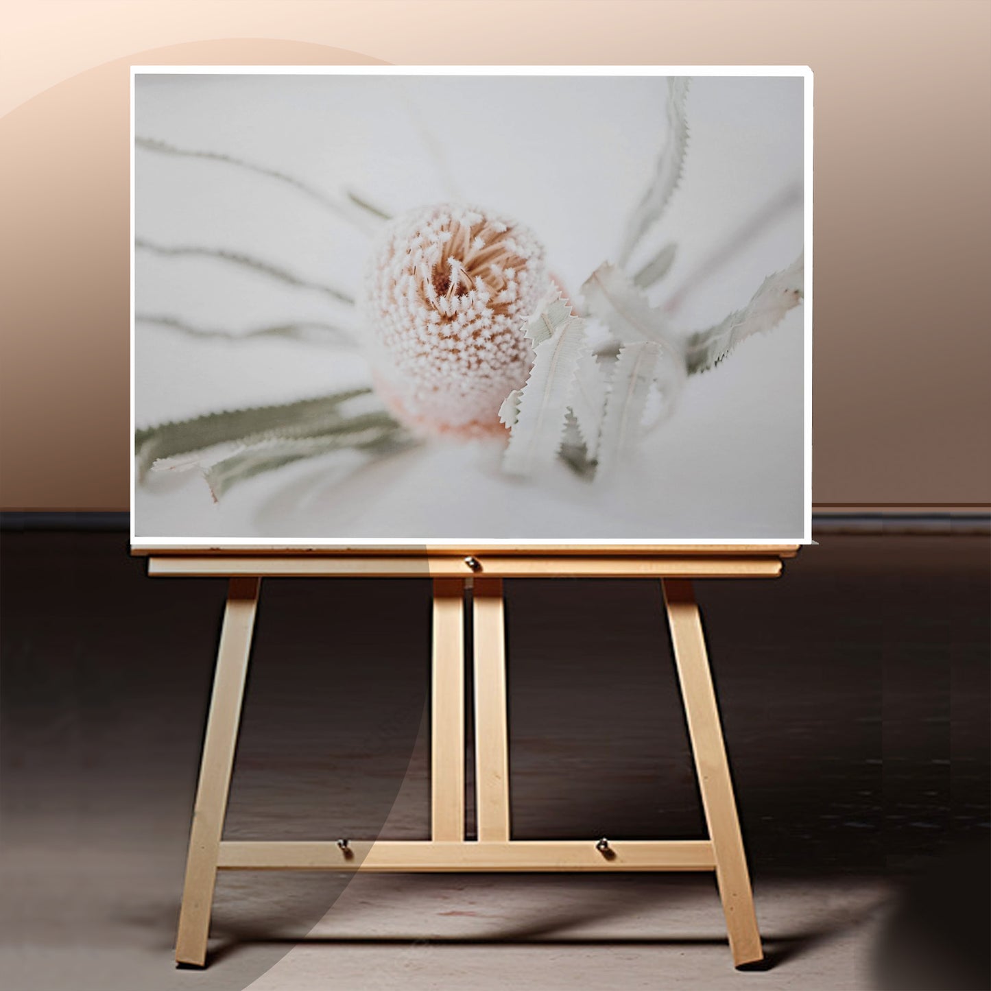 Photograph of Banksia