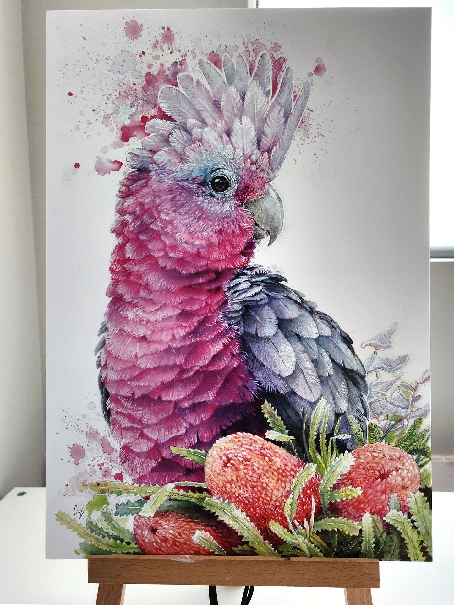 Pink Galah and Banksia by Carlie Edwards