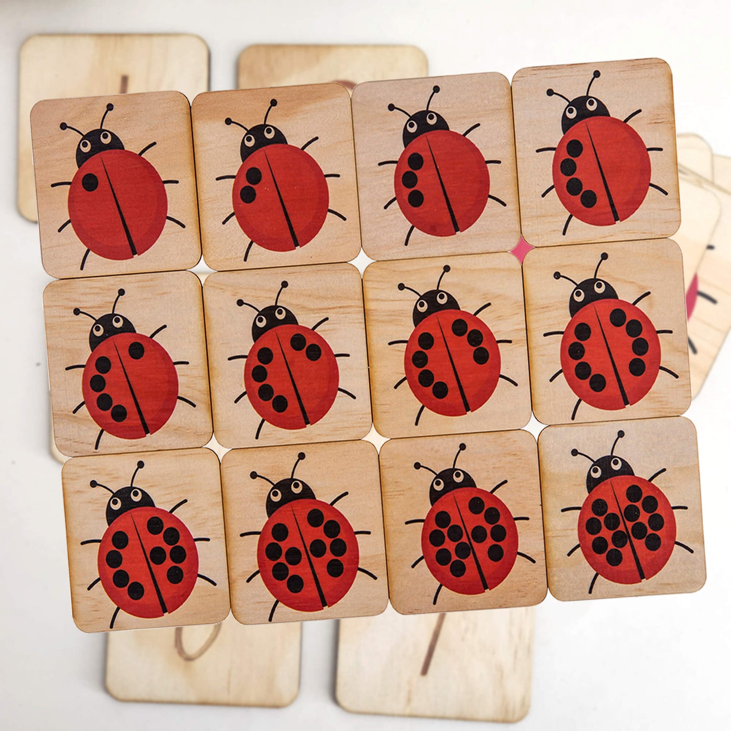 Ladybird counting puzzle