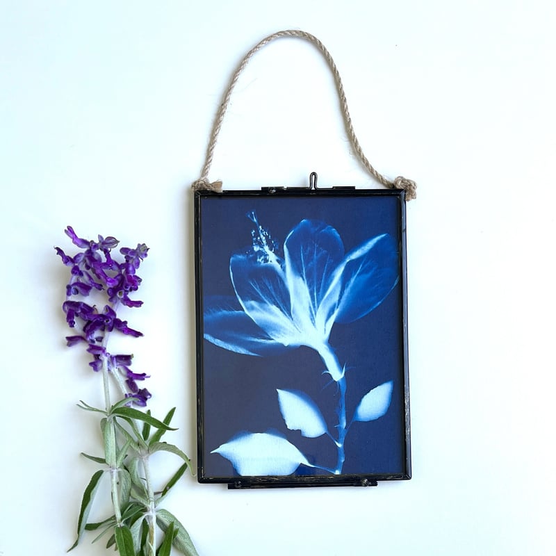 The beauty of nature original cyanotype print