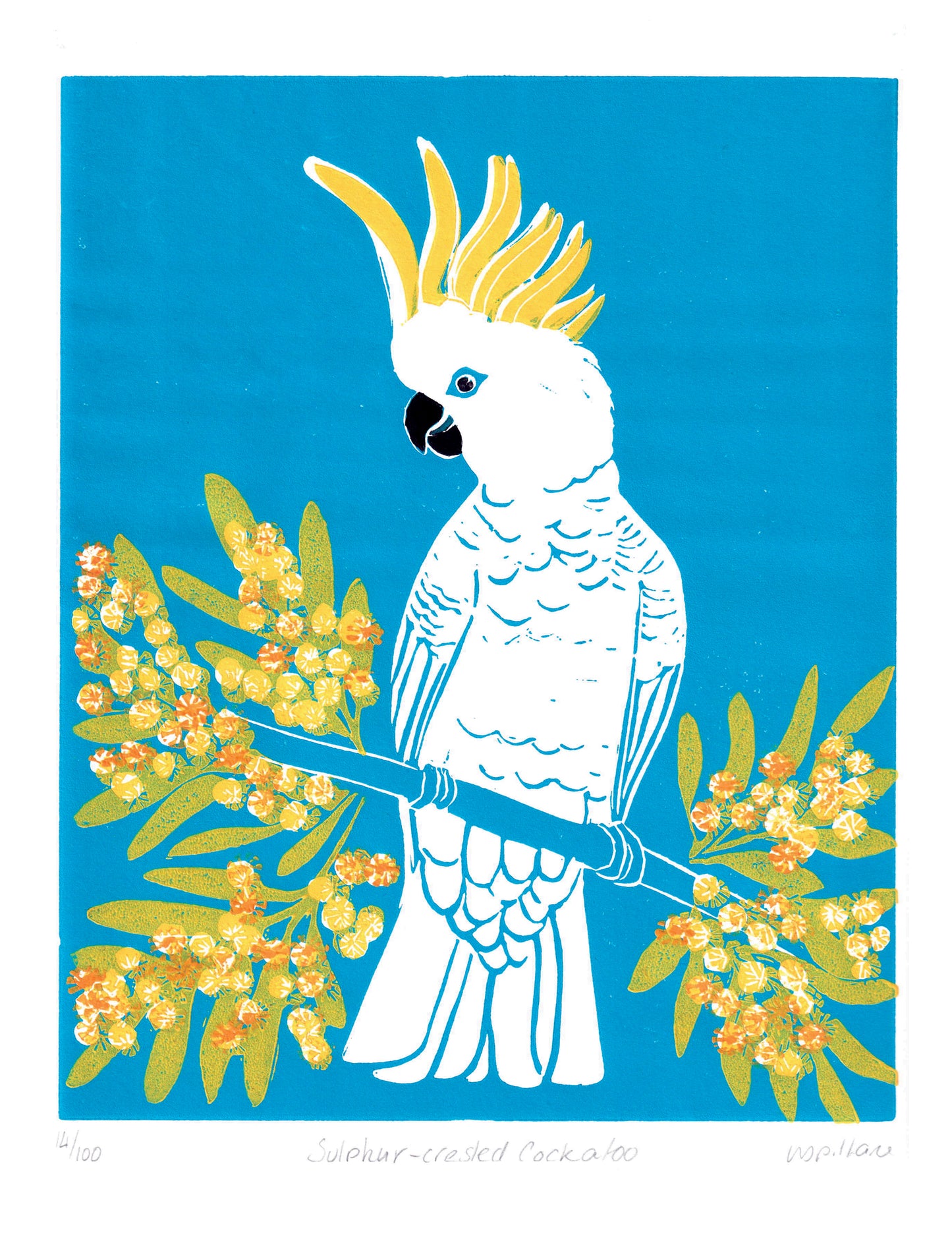 Original linocut Cockatoo prints