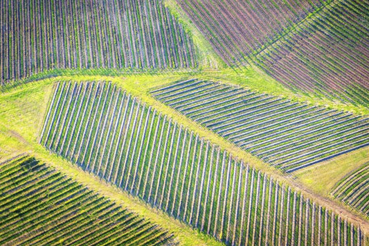 Beautiful, ethical, sustainable products from O Gosh.