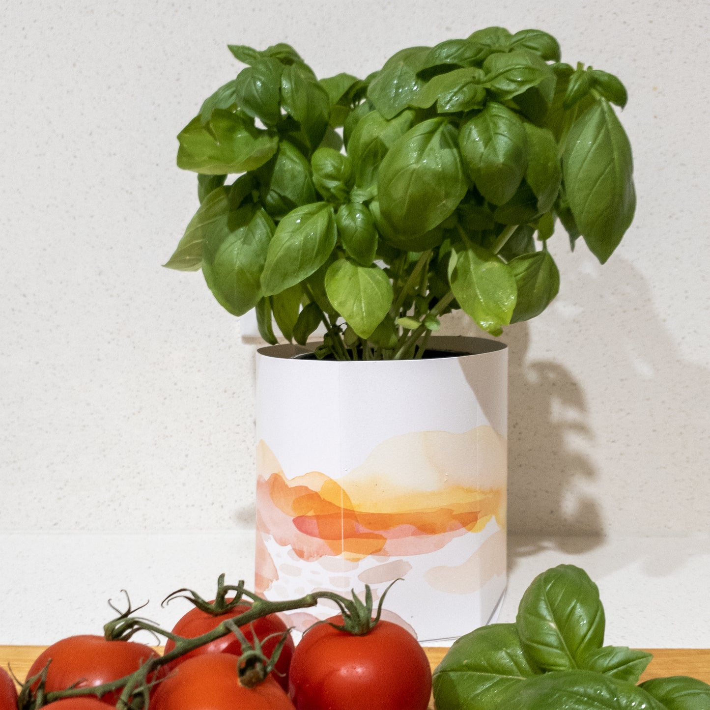 Beach Pop-up Garden Pot