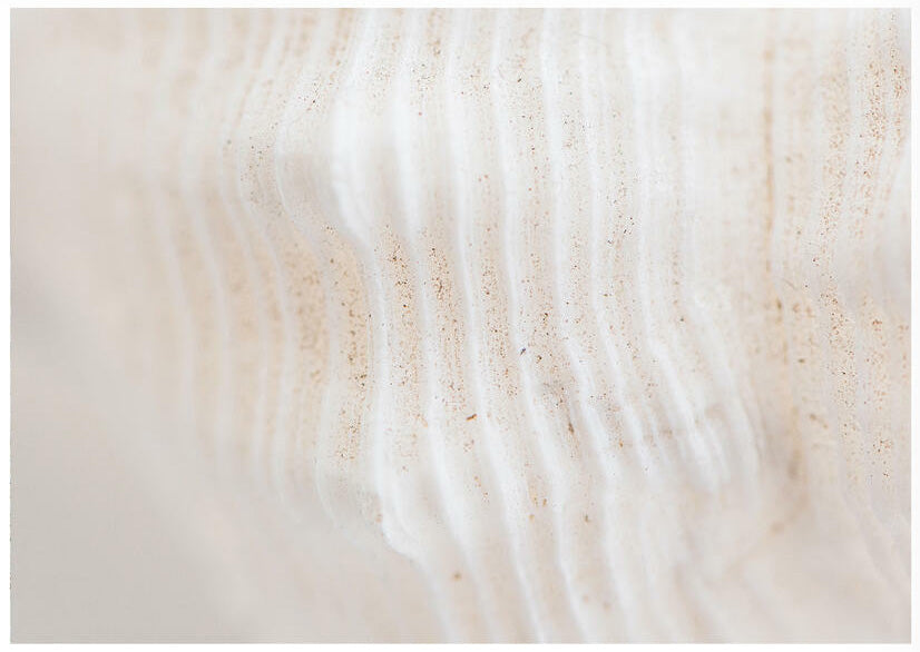 Beautiful, ethical, sustainable products from O Gosh.