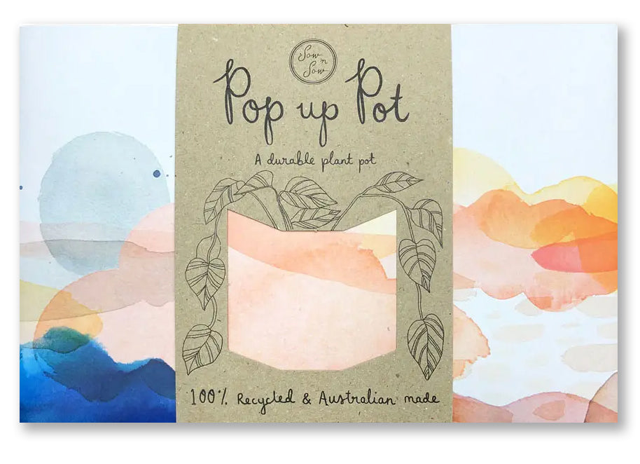 Beach Pop-up Garden Pot