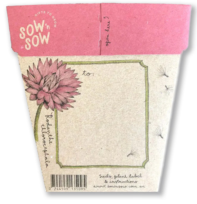 Everlasting Daisy Gift Card with seeds