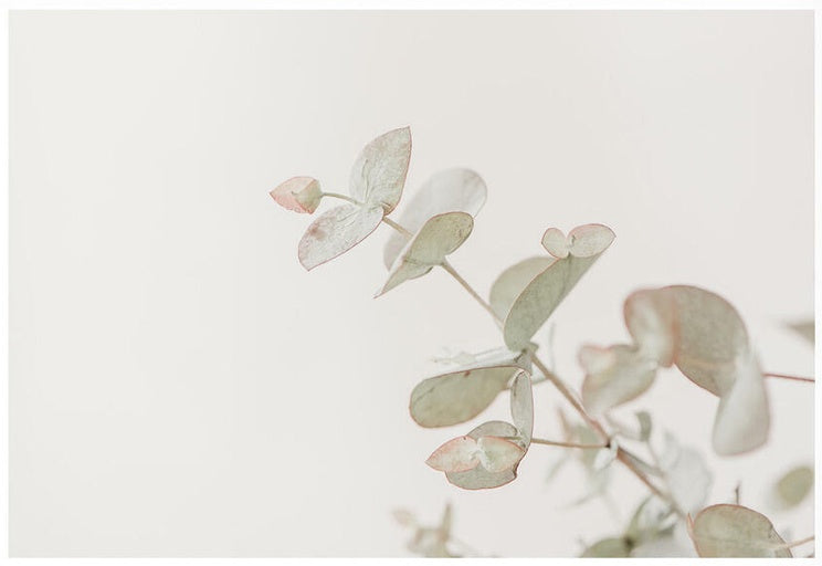 Beautiful, ethical, sustainable products from O Gosh.