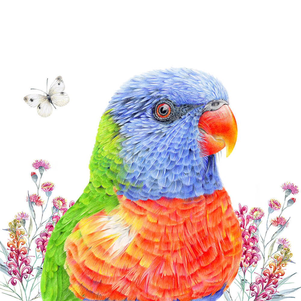 Beautiful, ethical, sustainable products from O Gosh.