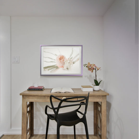 Banksia photograph showing scale