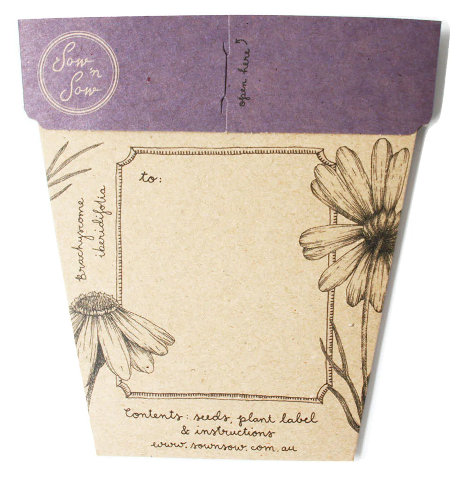 Swan River Daisy gift card with Seeds