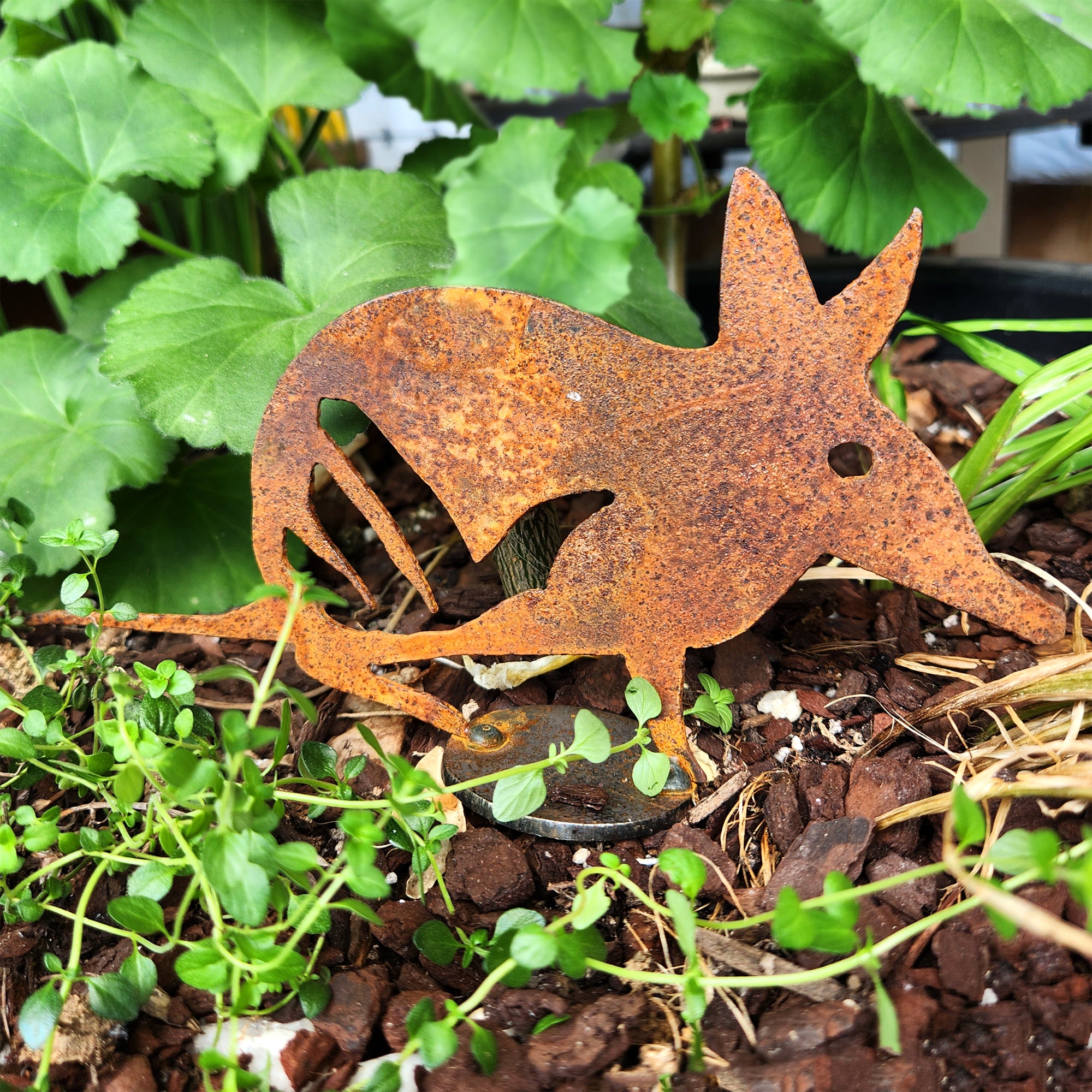 Colour: Green and Brown