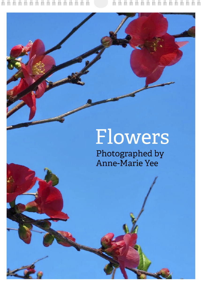A year of flowers - 2027 calendar A3 size