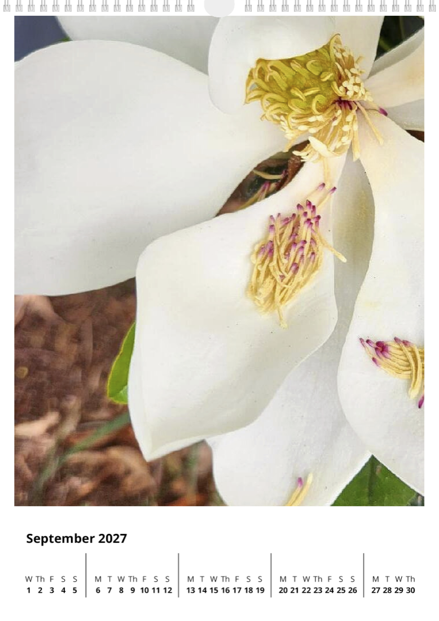 A year of flowers - 2027 calendar A3 size