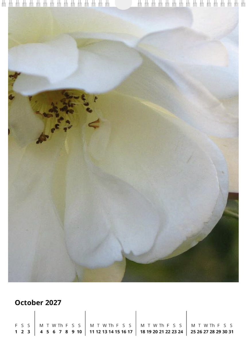 A year of flowers - 2027 calendar A3 size