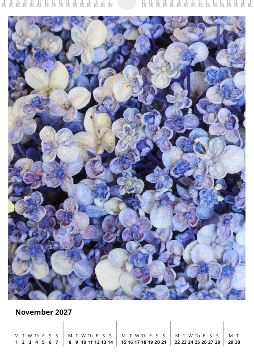 A year of flowers - 2027 calendar A3 size