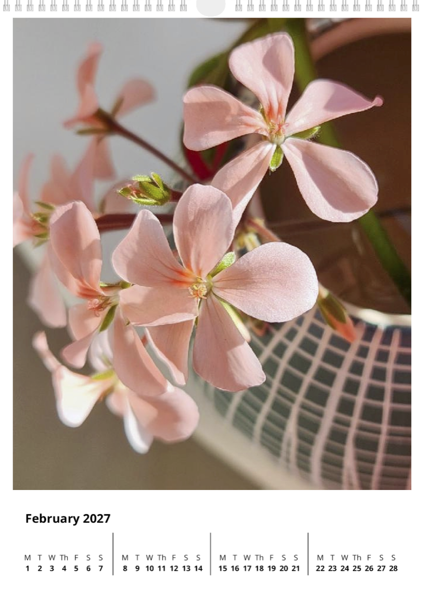 A year of flowers - 2027 calendar A3 size