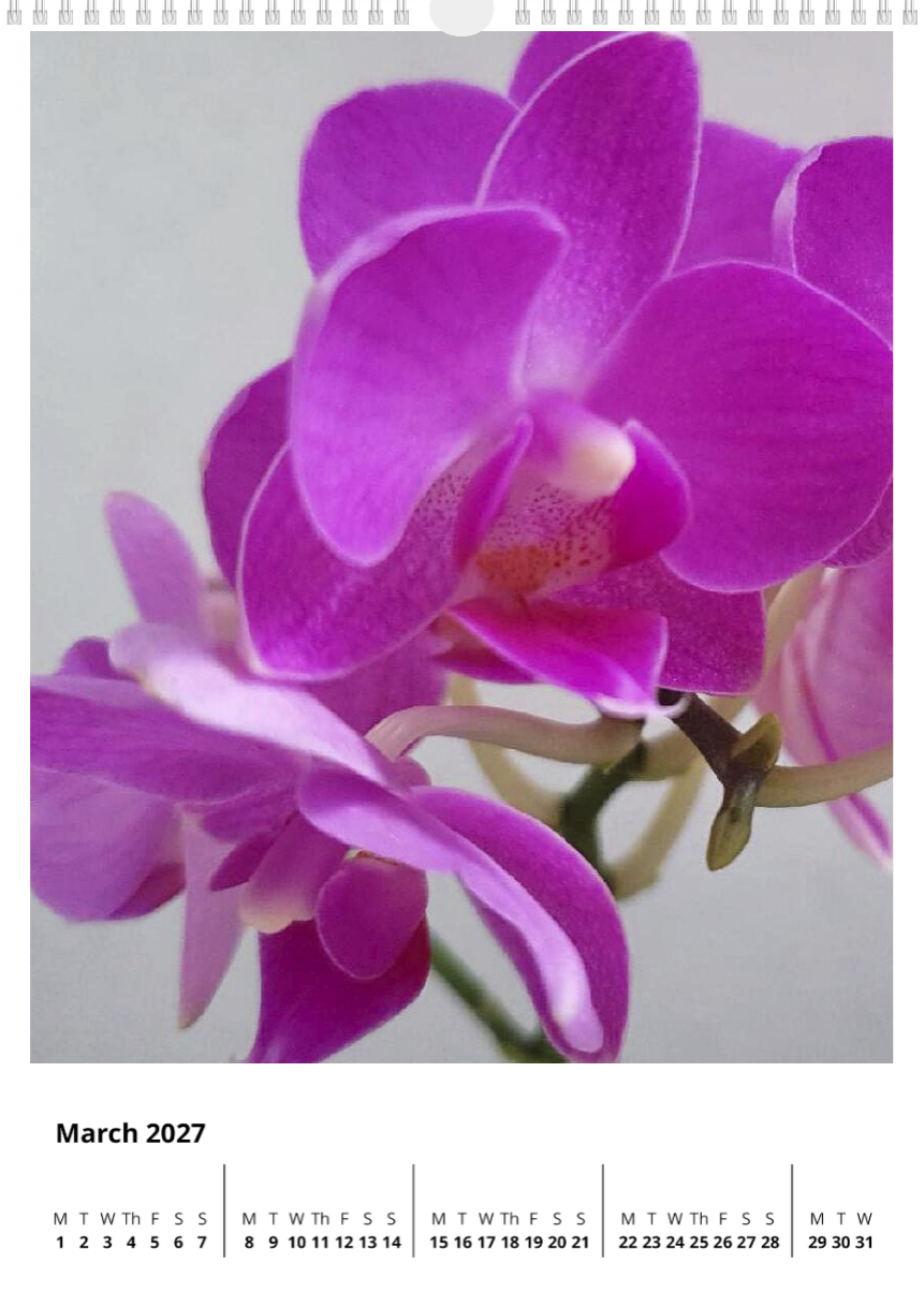 A year of flowers - 2027 calendar A3 size