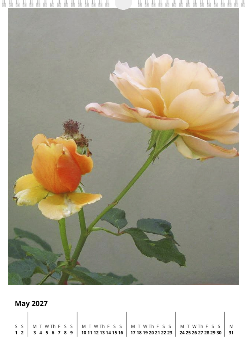 A year of flowers - 2027 calendar A3 size