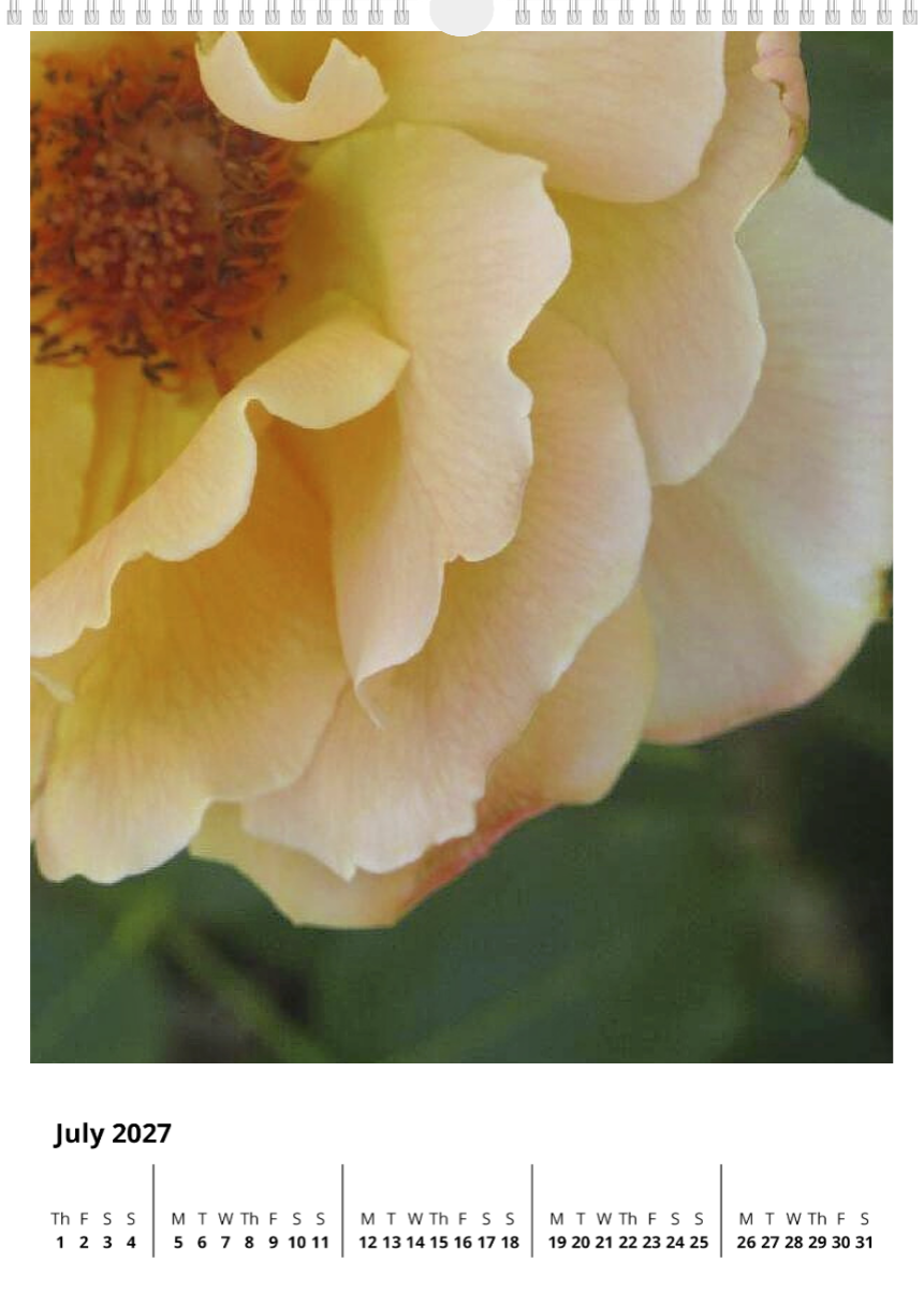A year of flowers - 2027 calendar A3 size