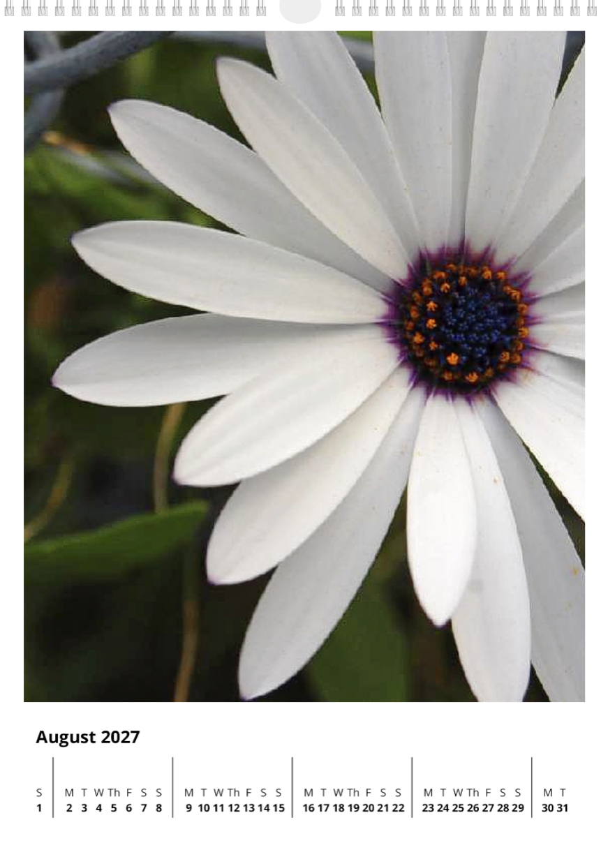 A year of flowers - 2027 calendar A3 size
