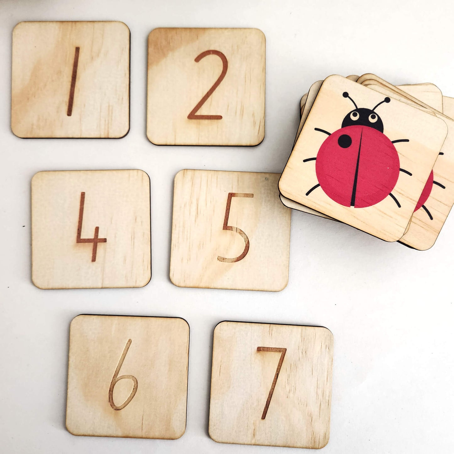 Ladybird counting puzzle