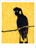 Black Cocky original print [A4+]