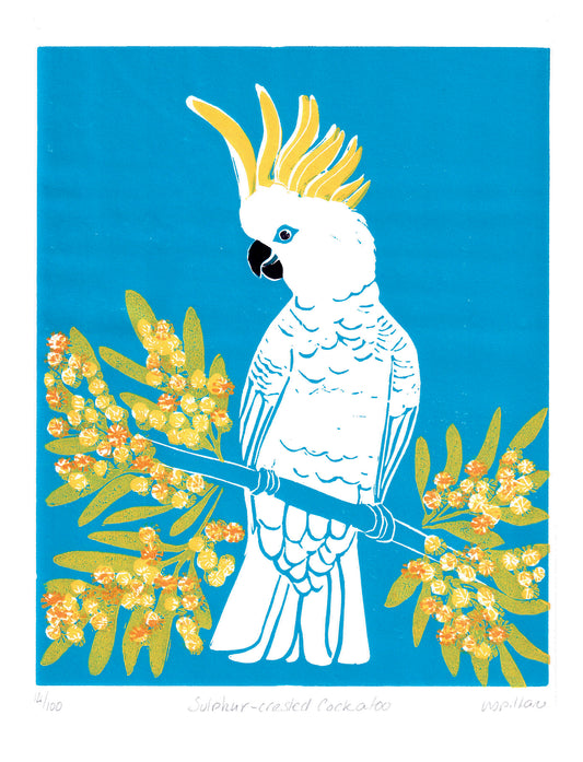 Sulphur Crested Cockatoo linocut printed by hand [A4+]