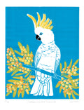 Sulphur Crested Cockatoo linocut printed by hand [A4+]