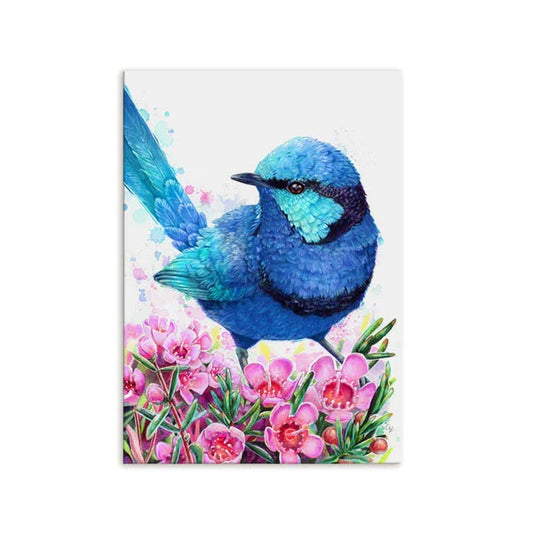 Blue Wren and Geraldton Wax art print [A3]