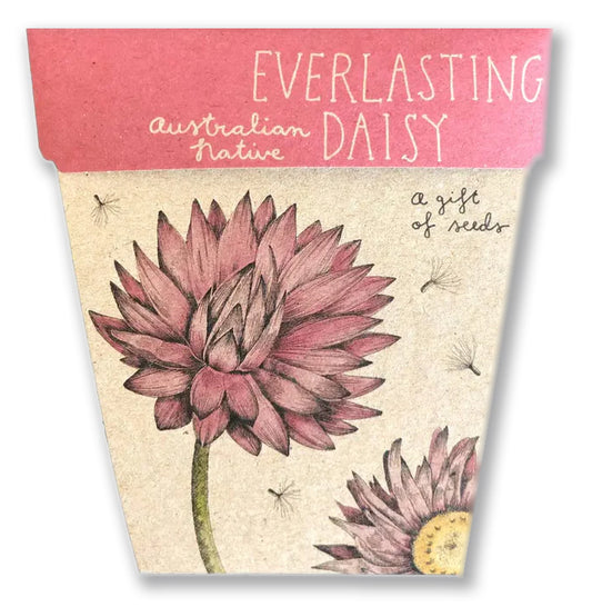 Everlasting Daisy Gift Card with seeds