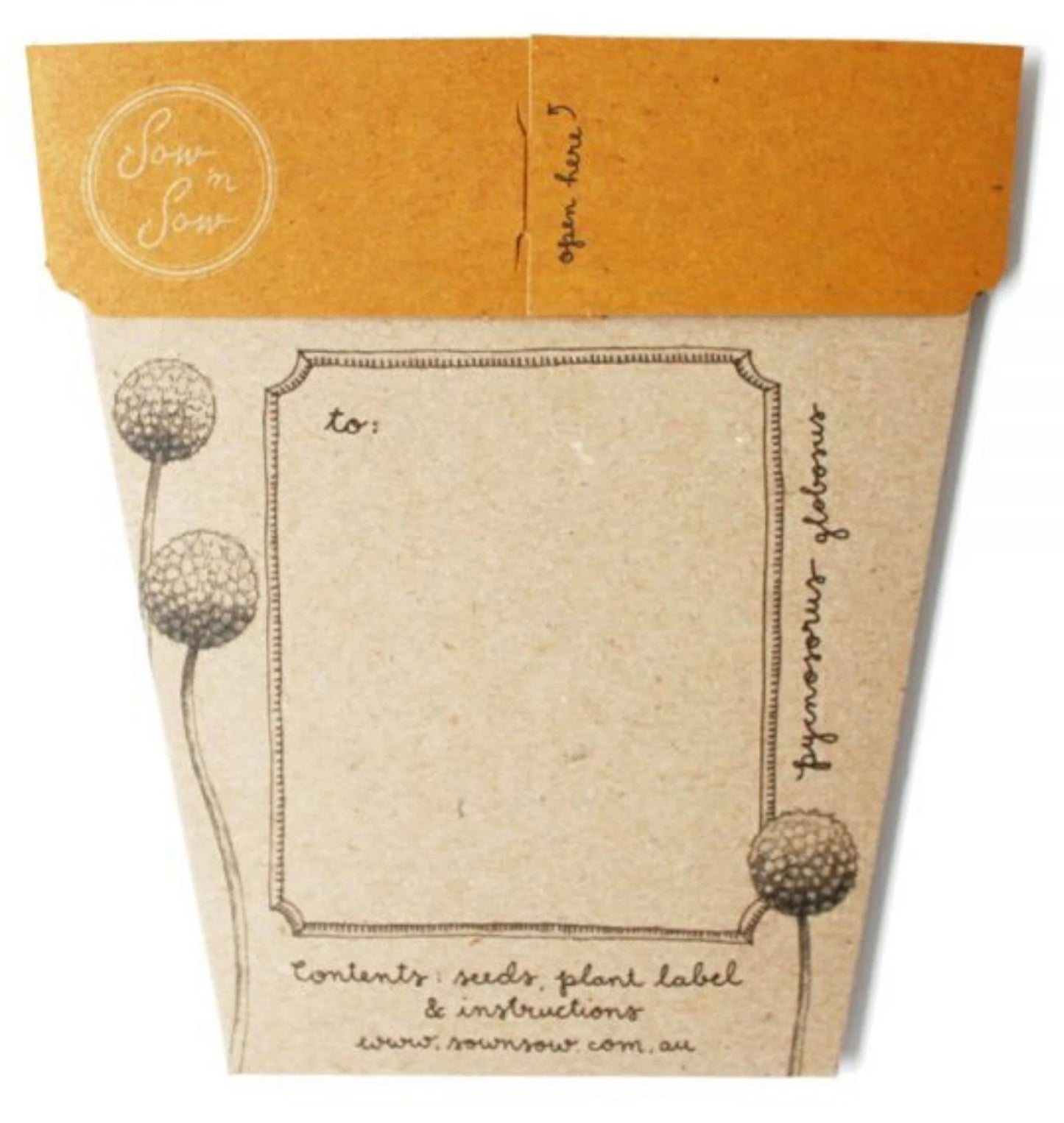 Billy Buttons gift card with seeds