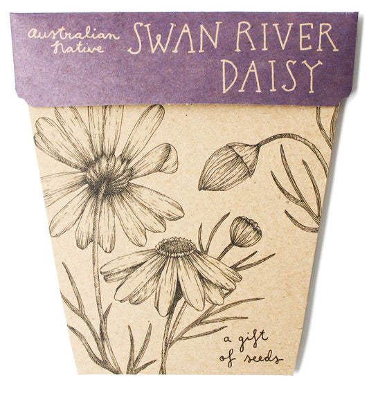 Swan River Daisy gift card with Seeds