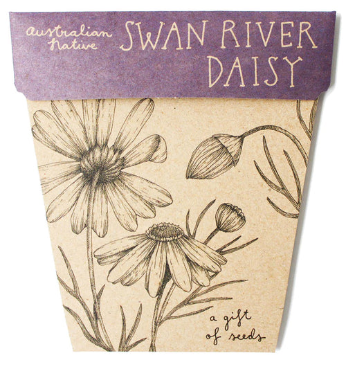 Nature's Gift two gift cards with seeds